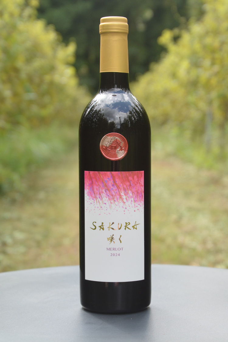 SAKURA咲く MERLOT　2024