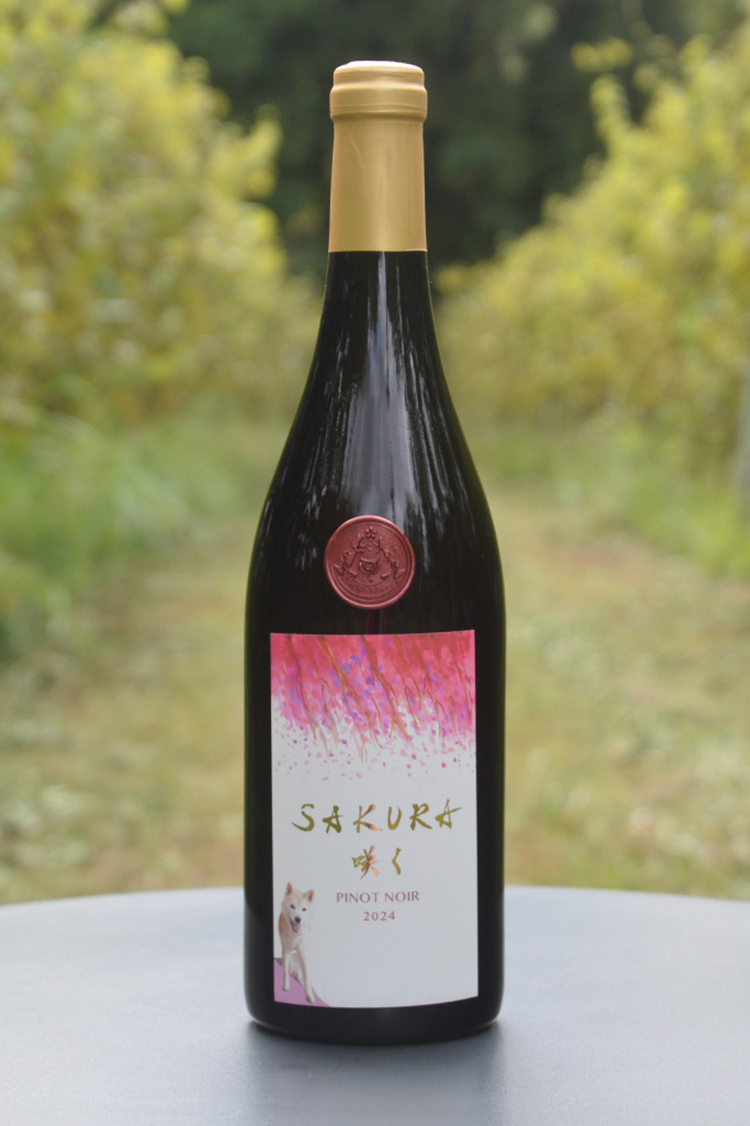 SAKURA咲く PINOT NOIR　2024