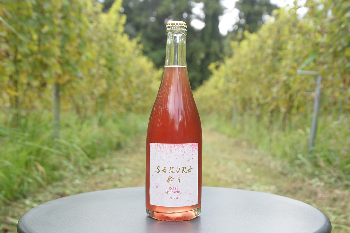 SAKURA舞う ROSÉ SPARKLING 2024